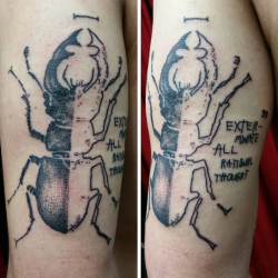 hirschkäfer tattoo dotwork ruth paztattoo wiesbaden.png